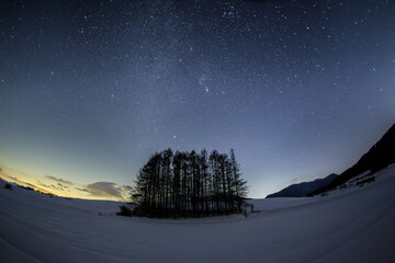 嬬恋高原カラマツの丘から雪原に昇る冬の星空