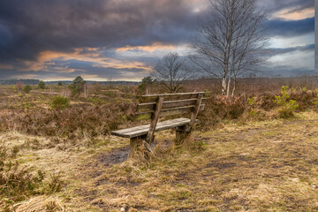 Lüneburger Heide  im Winter