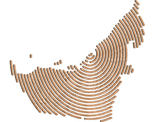 3D map of United Arab Emirates Shown in a wood lines. Transparent background PNG