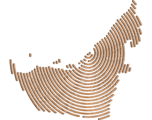 3D map of United Arab Emirates Shown in a wood lines. Transparent background PNG