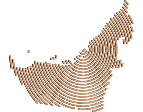 3D map of United Arab Emirates Shown in a wood lines. Transparent background PNG