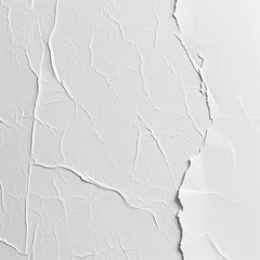 Papier Peint photo Ponte Vecchio White paper texture for background
