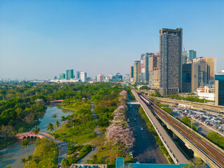 Fototapeta premium Aerial view pink sakura flower blossom on city road Chatuchak public park with transport road