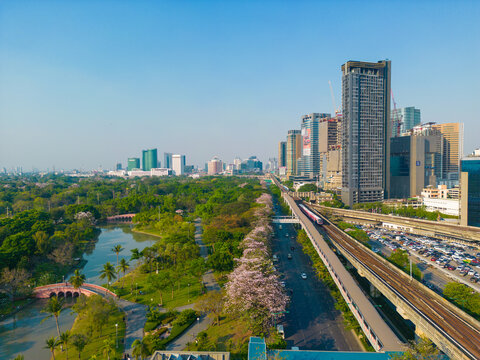 Aerial view pink sakura flower blossom on city road Chatuchak public park with transport road