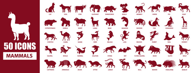 50 Mammals icon silhouette collection with name for every animal