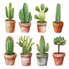 Watercolor cactus clip art collection illustration