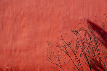 The Palace Museum Red Wall