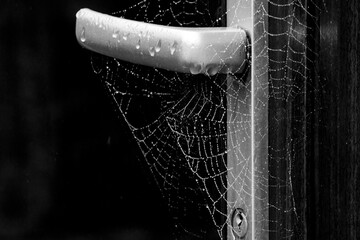 Cobwebs on the handle of a door that had not been opened for a long time
