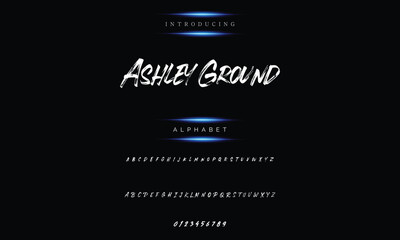 Handwritten handwritten script logotype font lettering in the best alphabet painting style.