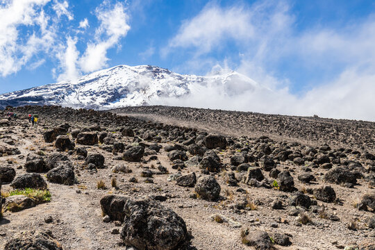 Ascending the Majestic Slopes of Mt. Kilimanjaro