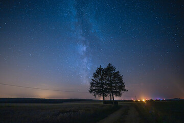  tree and The Milky Way