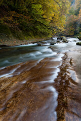 Fototapeta premium torrent automne