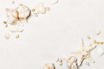 Background with various seashells on white table