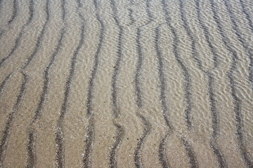 Fascinating Graphic Pattern at Domburg Beach: Tidal Dynamics in Zeeland