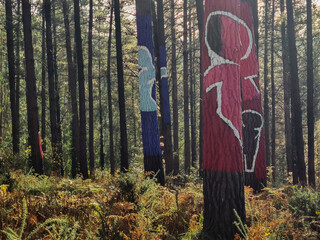 Arboles pintados en el bosque de Oma, en el Pais Vasco, españa - obrazy, fototapety, plakaty