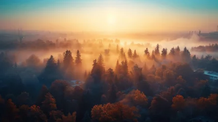 Selbstklebende Fototapeten Amidst the morning haze, the autumn forest comes to life with a sun-kissed sky, revealing a peaceful landscape of misty trees and distant buildings © ChaoticMind