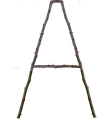 A letter a made of Rose Trunk isolated  on white transparent background. A png . rose trunk isolated in white transparent background ..trunk Png. rose trunk png.branch png  the .hook isolated on white