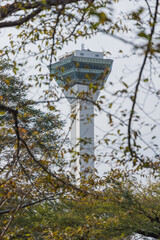 日本　北海道函館市にある五稜郭公園から見える五稜郭タワー