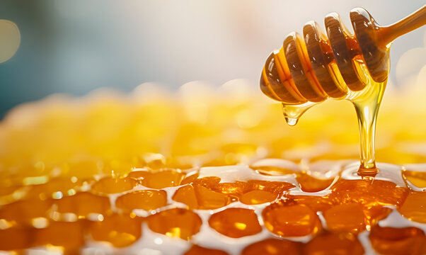 Close-up of a honey scoop with honey dripping onto a honeycomb. Breakfast cereal banner. Honeycomb