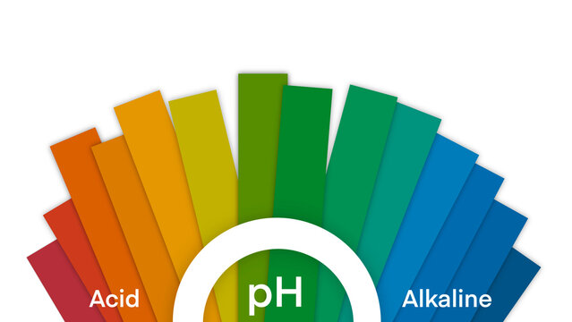Ph scale diagram, Ph scale vector graphic, Acid to base, pH scale Infographic acid-base balance, Indicator diagram acidic alkaline measure, pH value scale chart for acid and alkaline solutions
