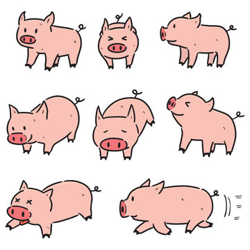 vector set of pig © olllikeballoon