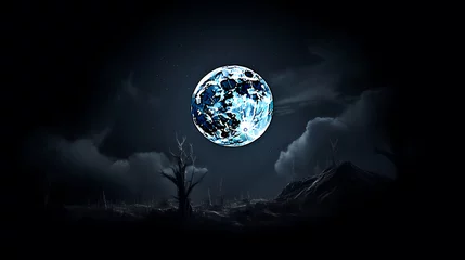 Foto op Plexiglas Volle maan en bomen Large full moon at night, full moon photo showing details of the moon's surface