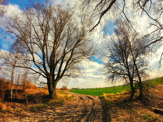 A muddy path leads through a field, flanked by bare trees under a partly cloudy sky.
