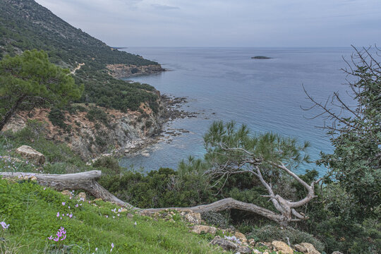 View of Chrysochou Bay coast as seen from Aphrodite Nature (Circular) Trail on Akamas Peninsula, above Neo Chorio and Latsi villages. Pafos district, Cyprus