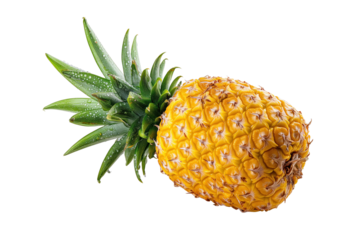 Fresh whole pineapple