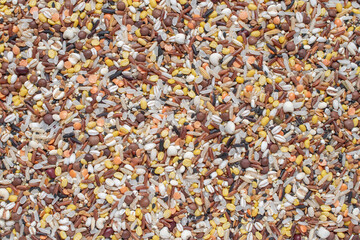 Mixed dry organic cereal and grain seed background. For healthy food and agricultural product concept