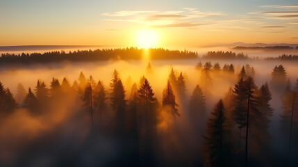 Obraz premium Magnificent sunrise at dawn