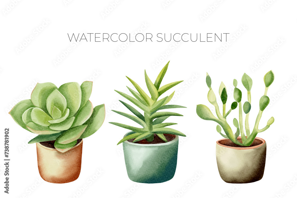 Wall mural Watercolor succulent plants in pot. Set of watercolor flower pot isolated on white. Mexican plants