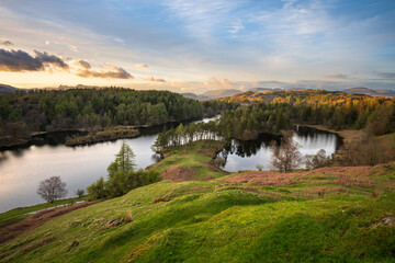 Golden hour at Tarn Hows near Ambleside on a calm Summer evening in The Lake District, UK. - 738783556