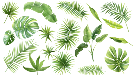 Tropical palm leaves (Monstera) are set on an isolated, transparent white background. Watercolor, hand-painted, summer clipart