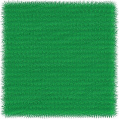 Fototapeta premium Grass pattern background vector illustration
