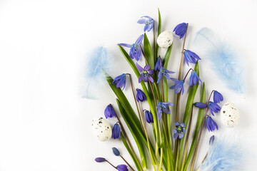 Spring flowers-  blue  snowdrops, easter eggs and feathers., white  background. Easter template, spring background, greeting card.8 march, women's day, mother's day