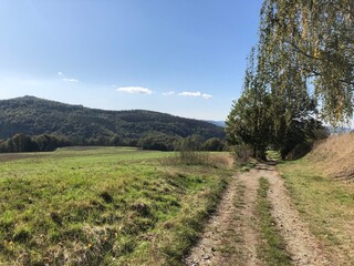 Feldweg mit Weitblick