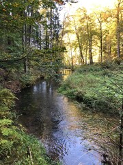 Wandern im Nationalpark Sächsische Schweiz