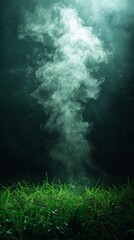 Obraz premium Underwater scene with swirling smoke or mist rising above a bed of green aquatic plants