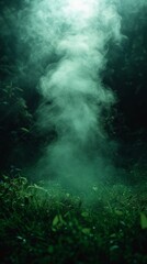 Obraz na płótnie Canvas Ethereal white smoke rises amidst lush green foliage in a mystical, dimly lit forest setting