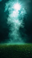Poster Mistige ochtendstond A mystical display of smoke or mist rising from grass against a dark, illuminated background
