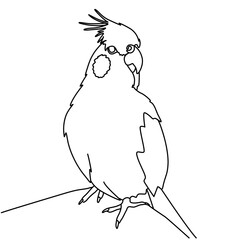 Corella parrot continuous line drawing, tattoo, bird print for clothes and logo design, one single line on white background, isolated vector illustration. 