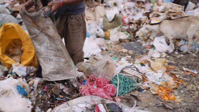 Male Worker Emptying Garbage Bag At Junkyard