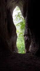 Obraz premium From inside the dark cave, a mesmerizing sight of sunlight filtering through leaves