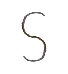 S letter a made of Rose Trunk isolated  on white transparent background. S png . rose trunk...