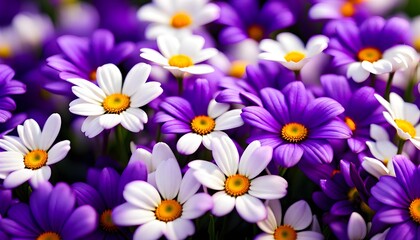 Obraz premium Purple and White Flowers Pattern Background