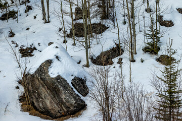 Snow covered rocks. Sibbald Creek Trail, Alberta, Canada