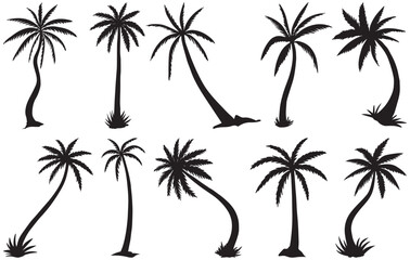 Fototapeta na wymiar Set of highly detailed tropical palm trees. Black palm silhouettes trees collection promotional items. Coconut tree vector illustration perfect adding a touch tropical paradise. Palm Frond abstract 