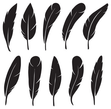 Set of black feather vector icons. Bird feather, Plume, pen feather, quill pen silhouette on white. fluffy feathers logo set icon realistic art style. Detailed majestic feather twirl sketch collection