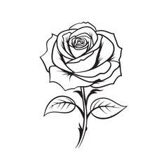 rose line drawing